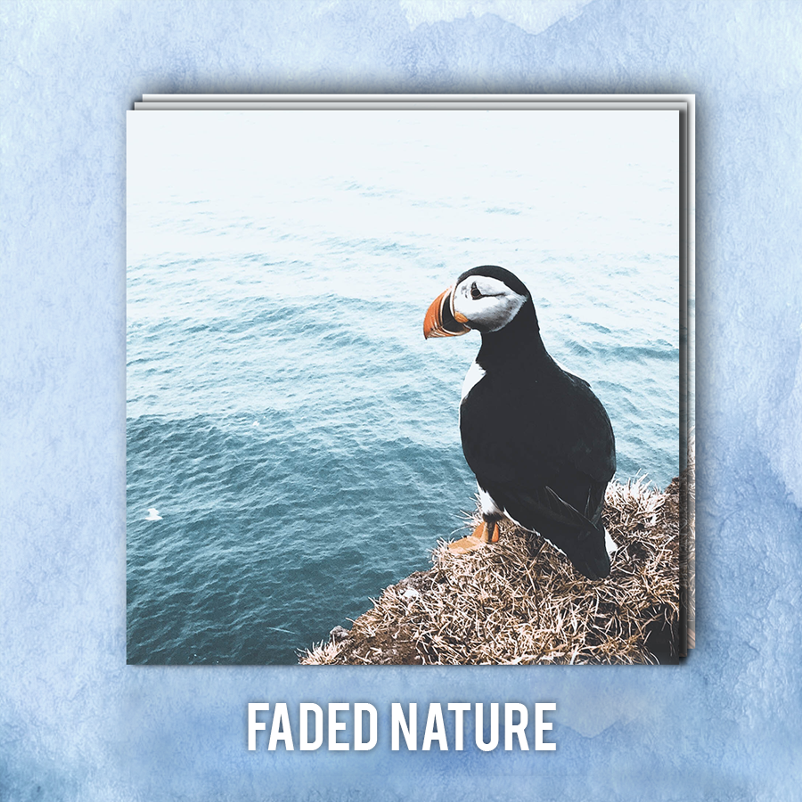 Faded Nature | ADOBE LIGHTROOM PRESETS PACK | Matt 'n' Seb
